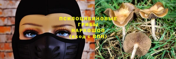 прущая мука Каменск-Шахтинский