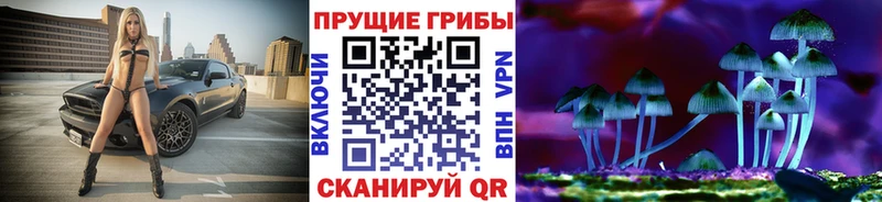 где купить наркоту  Казань  Псилоцибиновые грибы Cubensis 